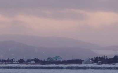 Regardez la genèse du prochain album